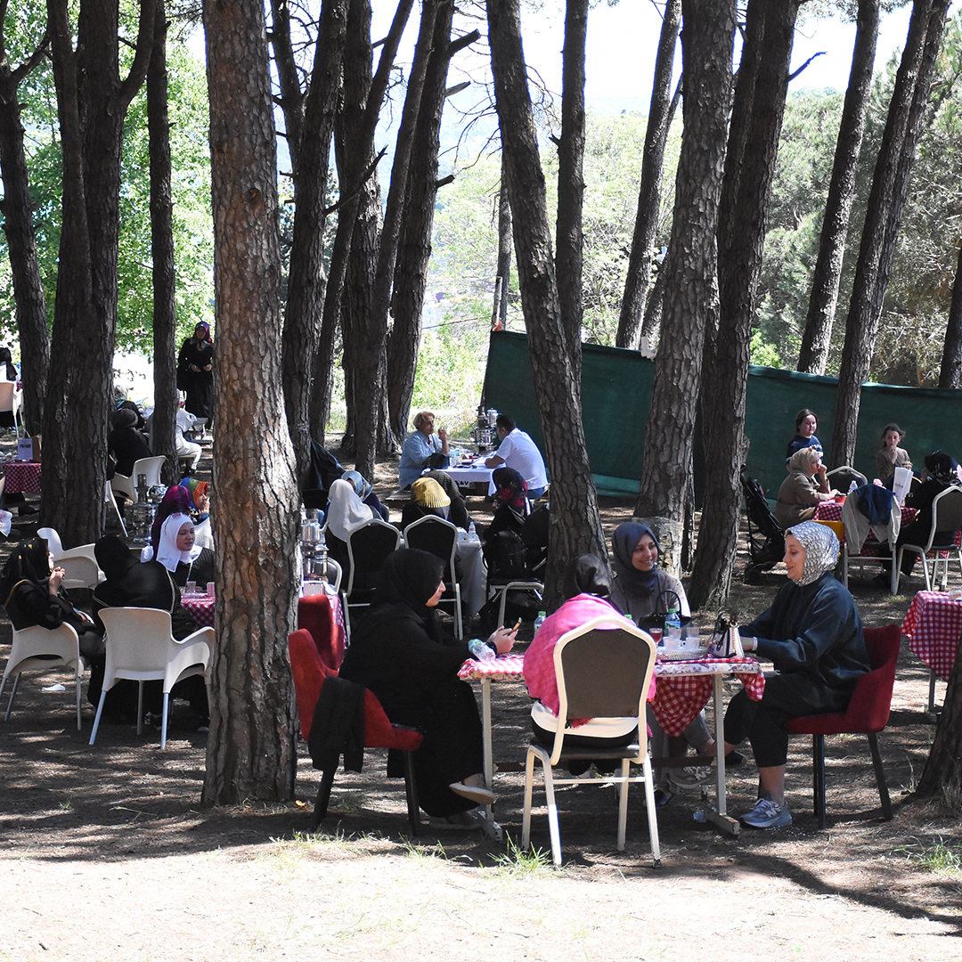Bks Web 14